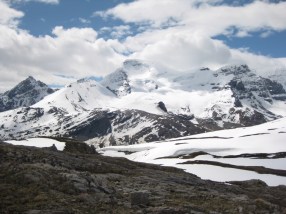 View from Wilcox Pass