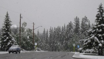 Snow in Canmore