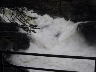 Water rushing through Johnston Canyon