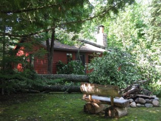 Trees down on the neighbor's cabin