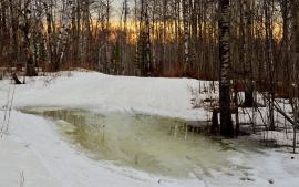 466169_10201094940278975_87615926_o