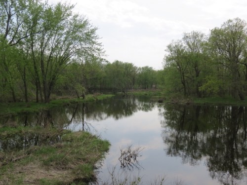 Wetlands alongside the trail