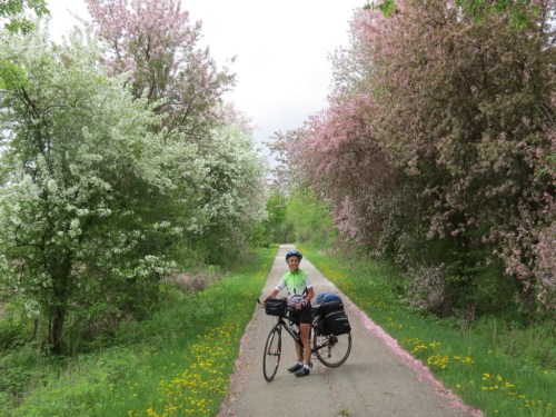 Molly among flowering trees on the trail