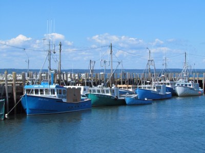 Fishing boats at Whitehead Island