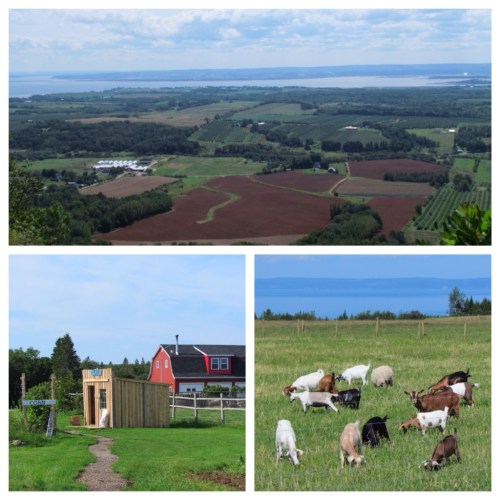 View at the Look Off and a rural farm
