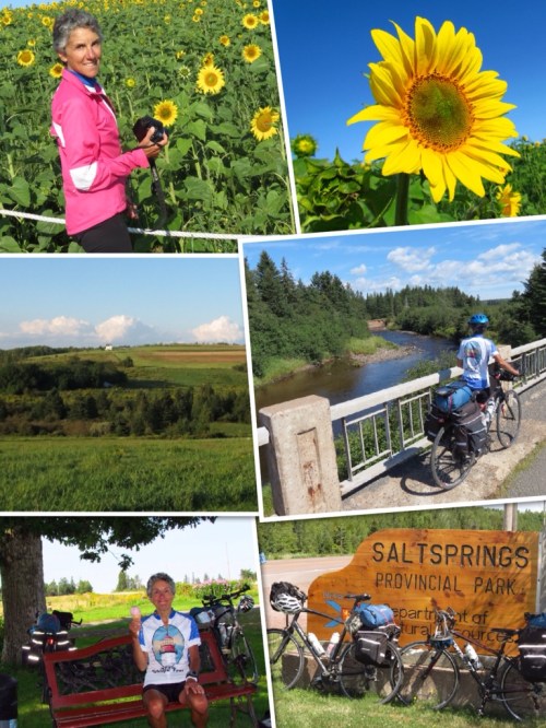 Good reasons to stop along the way