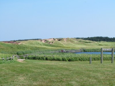Sand dunes at Cavendish Beach