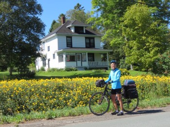 What a field of flowers!