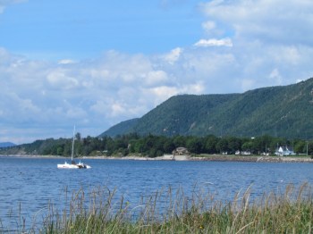 Sunny afternoon at Carleton
