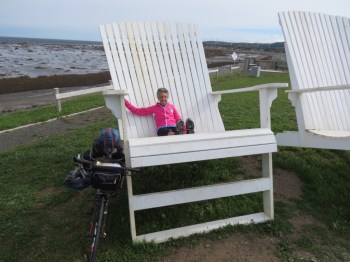 Molly relaxing out of the wind