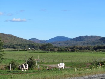 Mountain views near the border