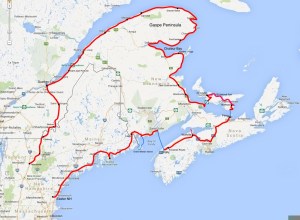 Our Progress to Date