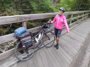 The offending bridge