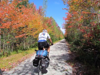 Beautiful fall colors