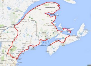 Our Progress to Date