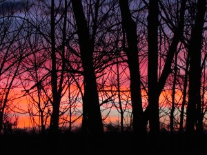 Photo Oct 25, 6 31 47 AM