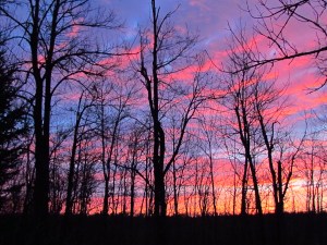 Photo Oct 25, 6 42 09 AM