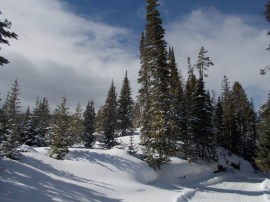 DSCN0131 straightened