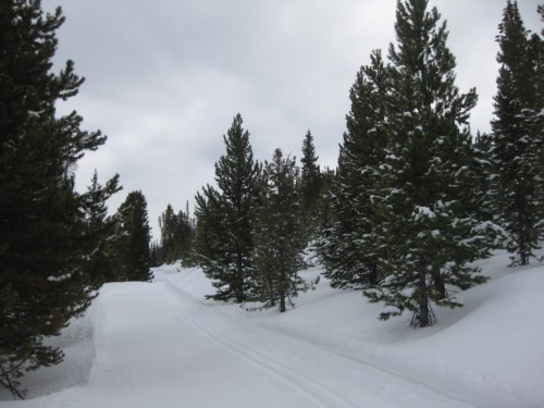Heading up Blue Ridge Trail