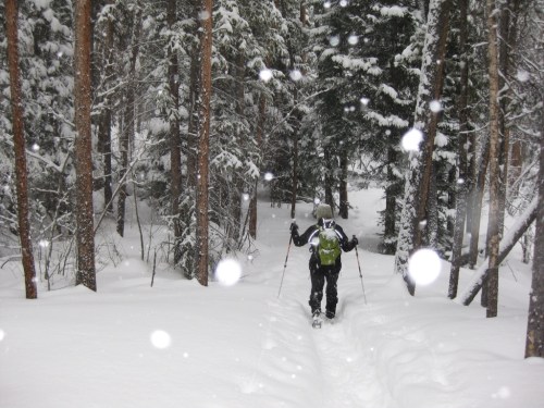 Fran and the snowy trail