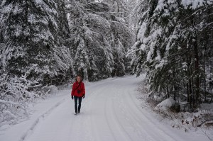 337-Birds-365-Caribou-Trail