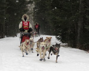 John Beargrease 2015 c