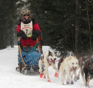 John Beargrease 2015 f