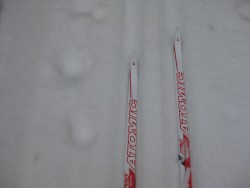 Skis and animal tracks
