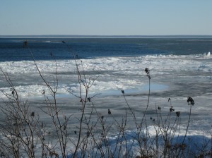Brighton Beach melting ice