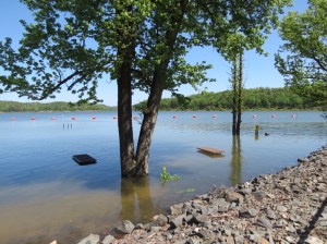Flooded Gillham Lake