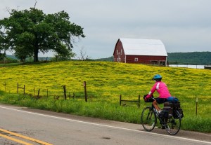 Molly cycling in Arkansas