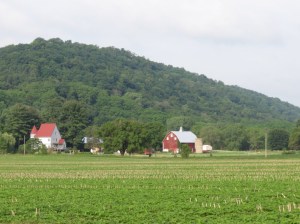 Farm south of the river