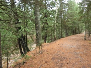 Trail along Amity Creek