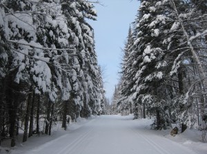 Skiing Onion River Road