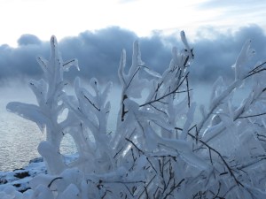 North Shore sunrise ice 4