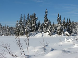 An island along the Gunflint Trail