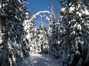 Snowy trail at Bearskin Lodge 2