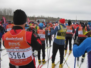 Birkebeiner starting line