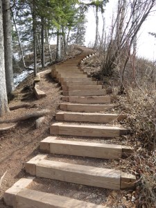 Modern steps in the park