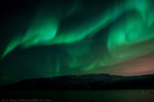 Mountain Fjord Aurora 2