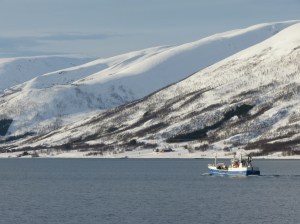 Fjord view 2 near Tromso