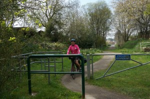 Molly and a gate on the trail