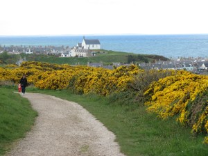Morning sunlight on Scottish coast