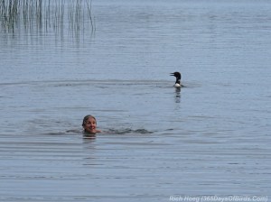 Molly chased by loon