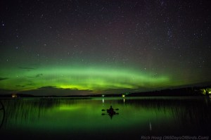 Kayaker in the Northern Lights