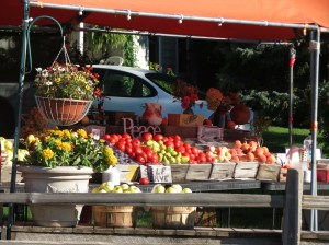 Farm Market on Old Mission Peninsula