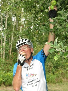 Apples for the eating