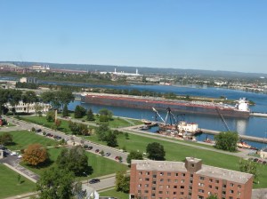 View from the tower 2