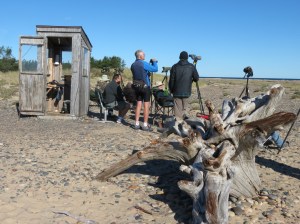 Rich birding Whitefish Point