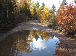 Lead reflection Crisp Point 2